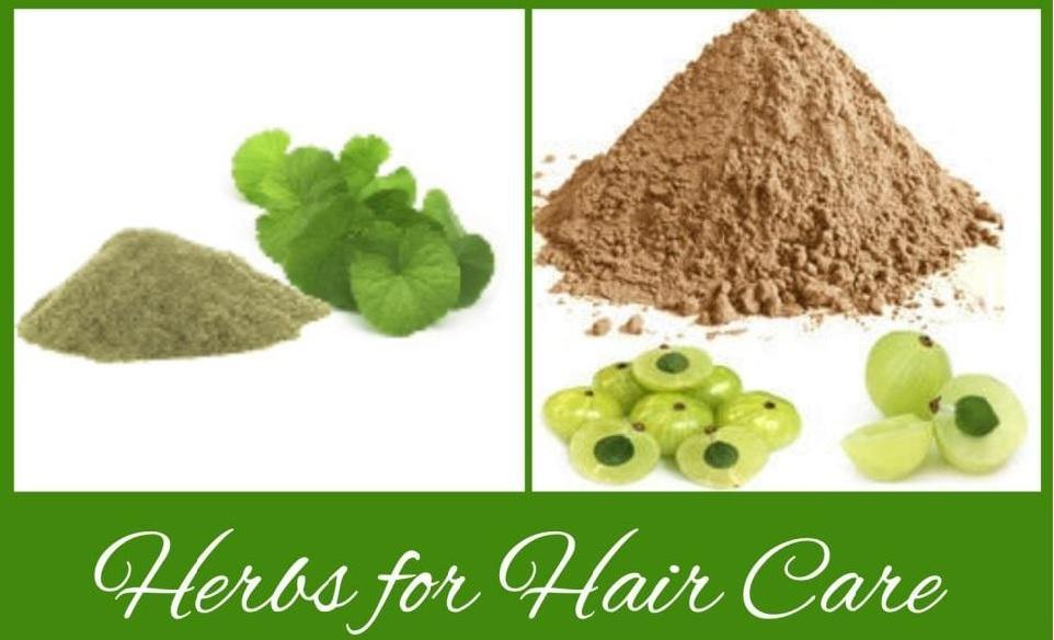 Using Amla and Brahmi as Hair Treatments - Henna Cosmetics